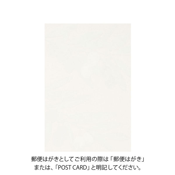 MIDORI デザインフィル 秋のポストカード