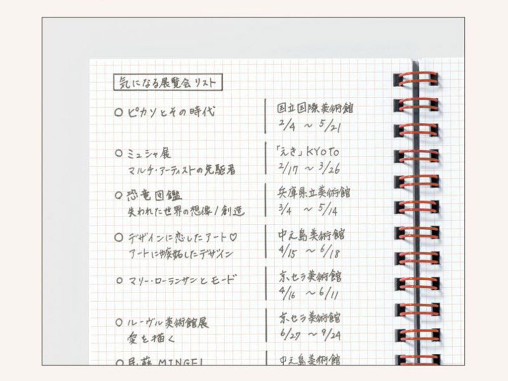 楽しかった日を100集める日記帳 「FUN DAY 100」