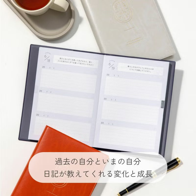 3 YEAR INTERVIEW DIARY