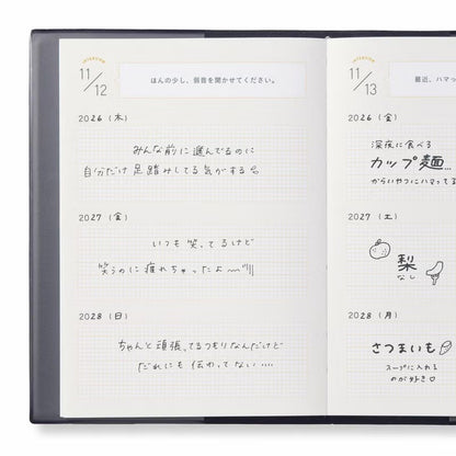 3 YEAR INTERVIEW DIARY