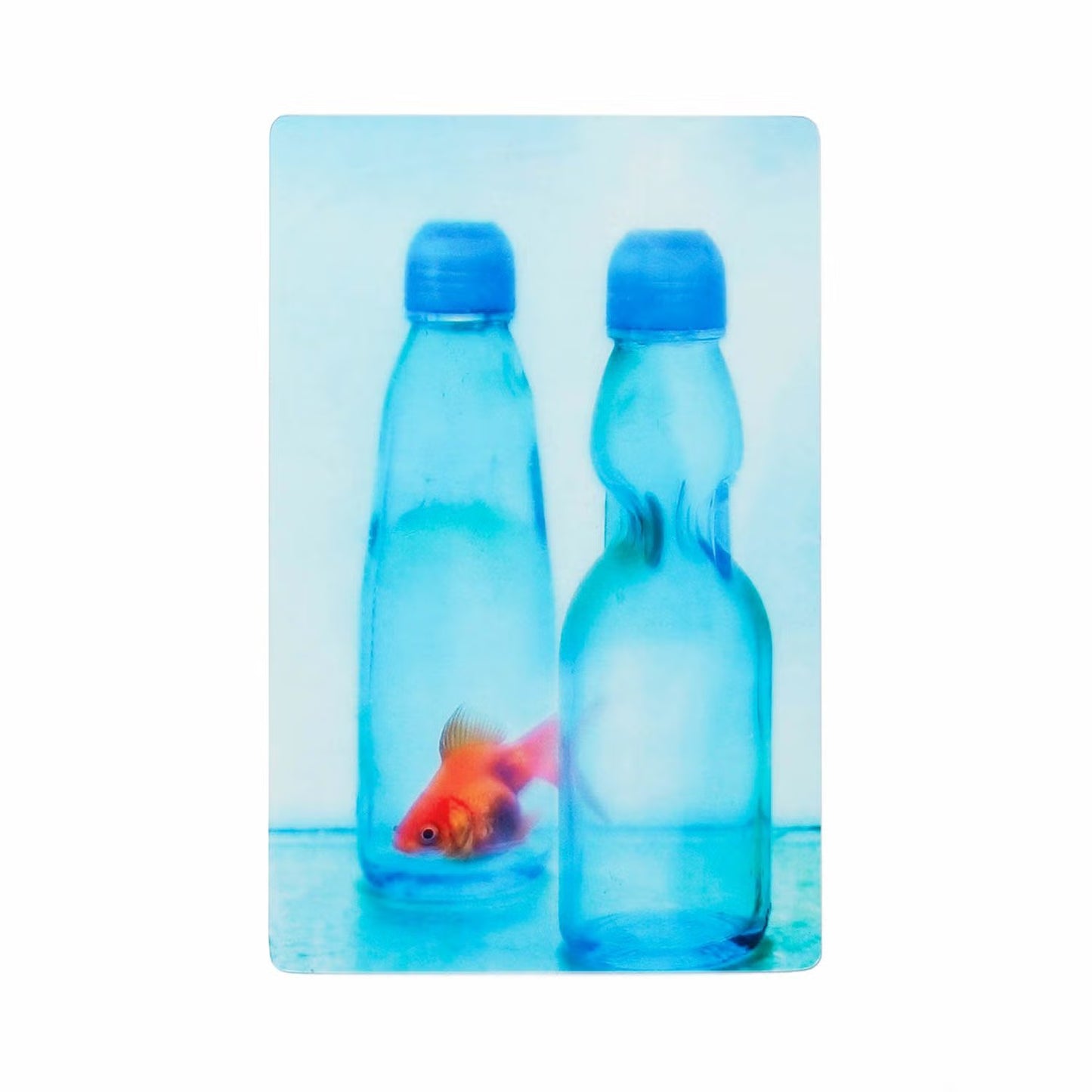 透明写真栞 001