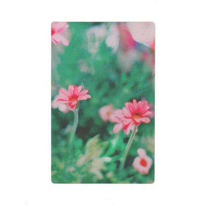 透明写真栞 001