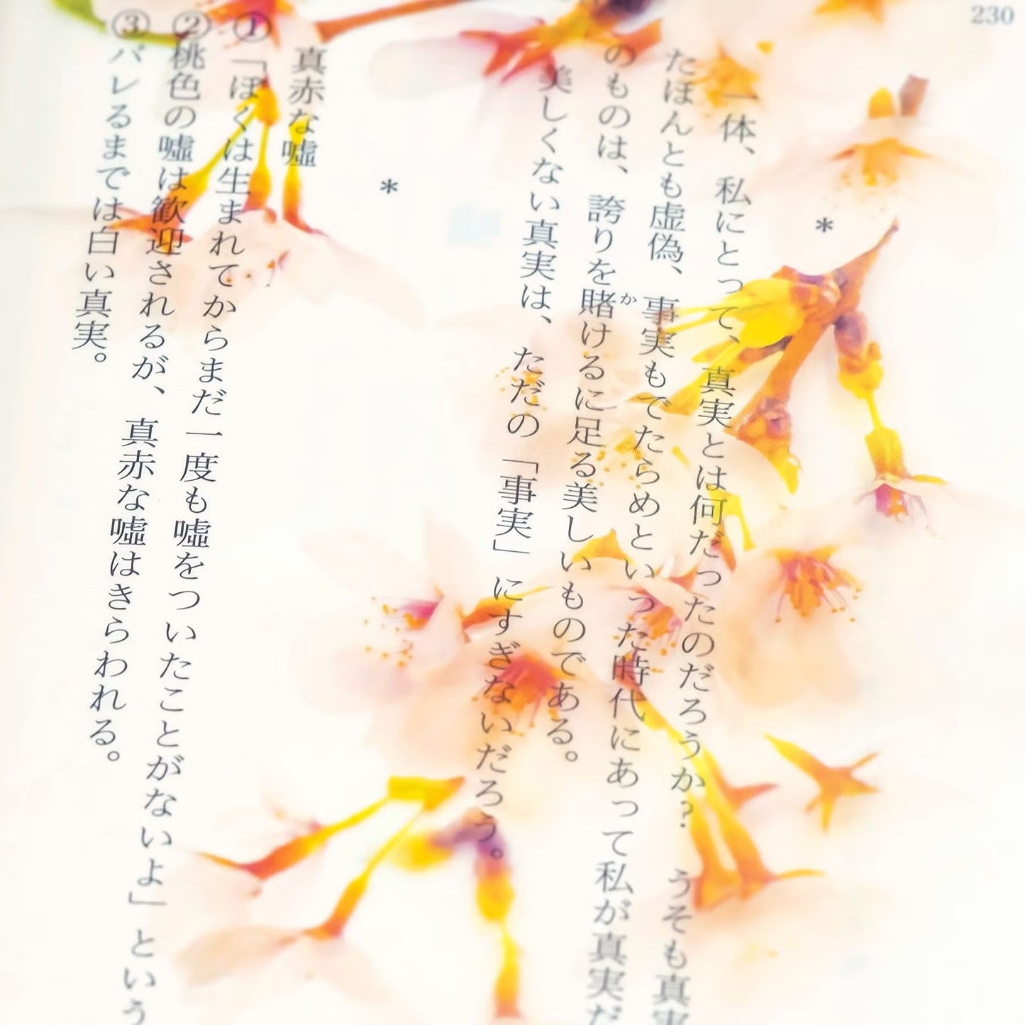 透明写真栞 001