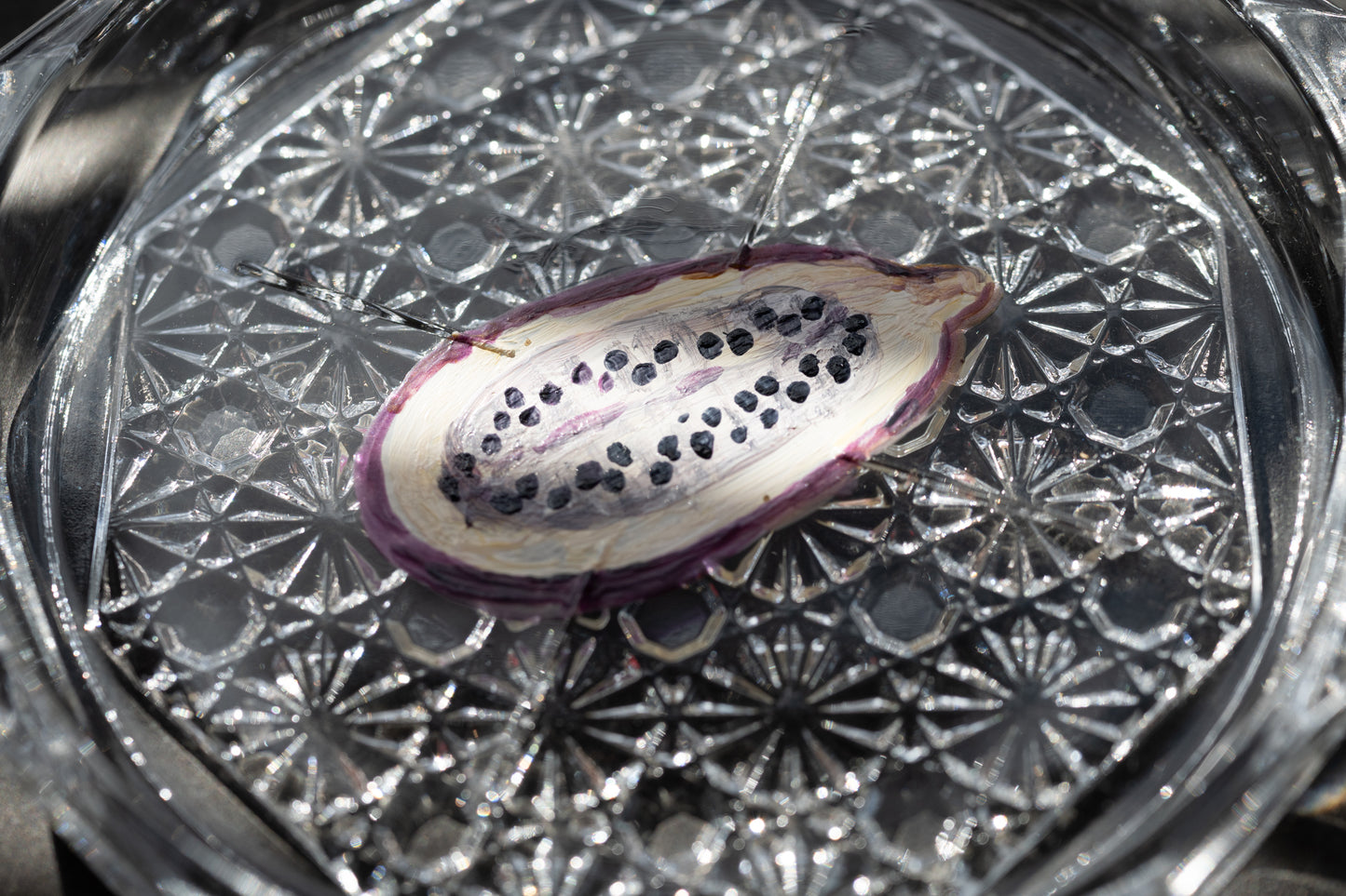 スゲノマロ‐ガラスコースター