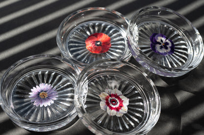 スゲノマロ‐ガラスコースター