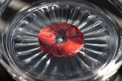 スゲノマロ‐ガラスコースター