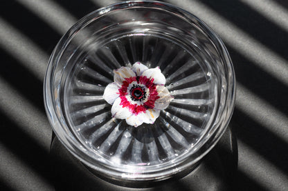 スゲノマロ‐ガラスコースター