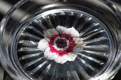 スゲノマロ‐ガラスコースター