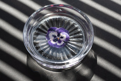 スゲノマロ‐ガラスコースター