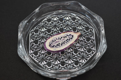 スゲノマロ‐ガラスコースター