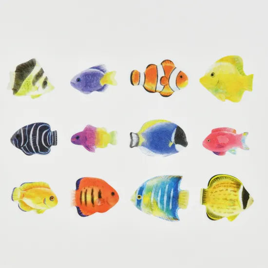 bande　海の生き物 熱帯魚