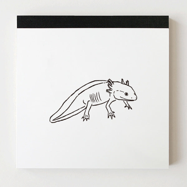 メモパッドスクエア アニマルシリーズ