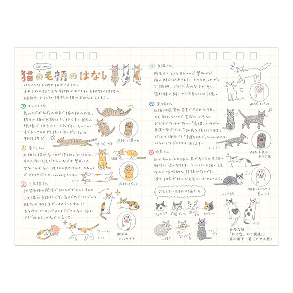 【2027年版】ミドリ 卓上 カレンダー リング〈M〉