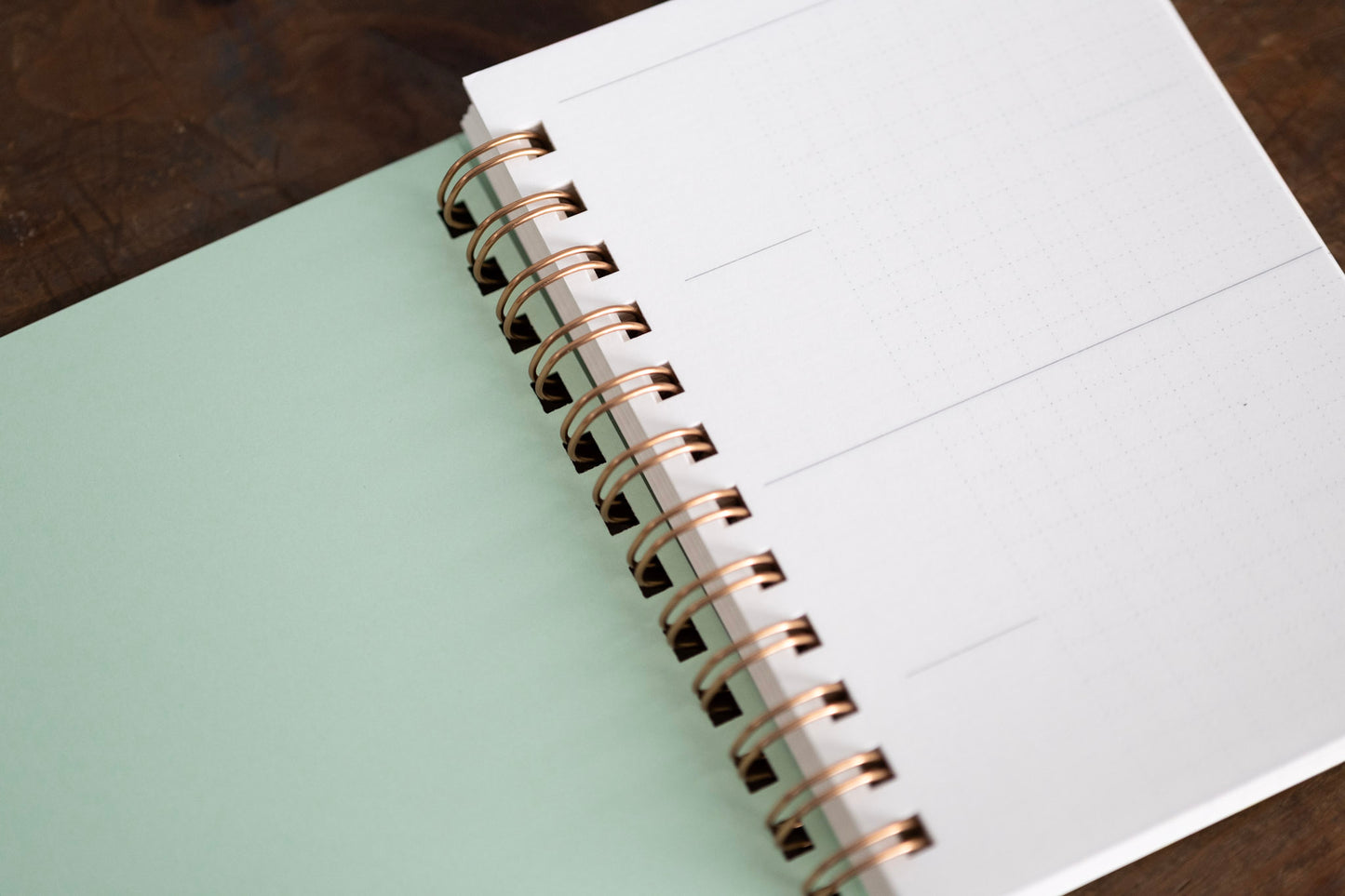 PEPIN×Pentonote FREE DAYS NOTE