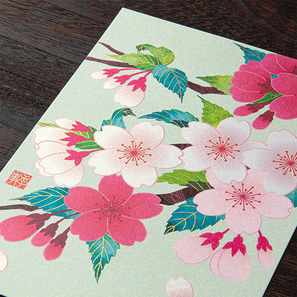 ミドリ 紙シリーズ ポストカード 2026年春