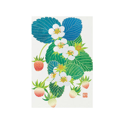 ミドリ 紙シリーズ ポストカード 2026年春