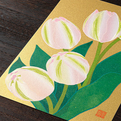 ミドリ 紙シリーズ ポストカード 2026年春