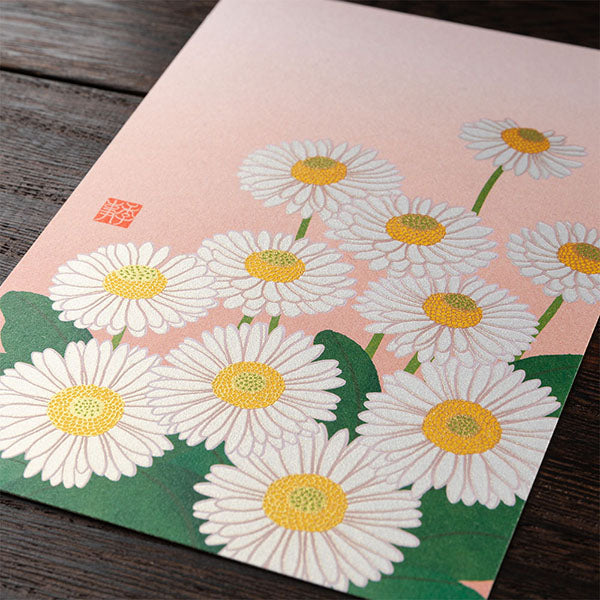 ミドリ 紙シリーズ ポストカード 2026年春