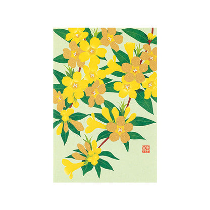 ミドリ 紙シリーズ ポストカード 2026年春