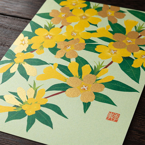 ミドリ 紙シリーズ ポストカード 2026年春 – 文化堂 │ Pentonote