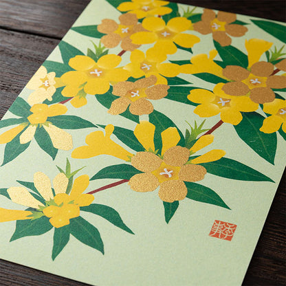 ミドリ 紙シリーズ ポストカード 2026年春