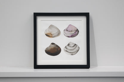 スゲノマロ-原画