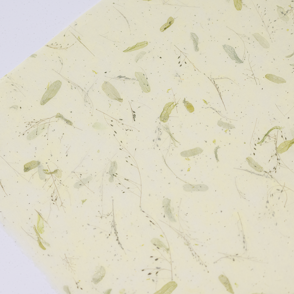 ドライフラワー和紙