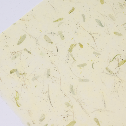 ドライフラワー和紙