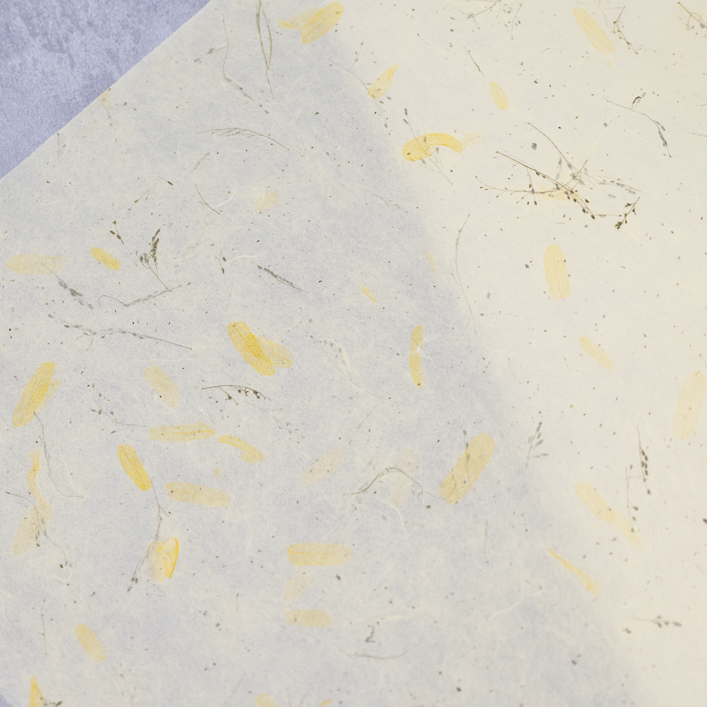 ドライフラワー和紙