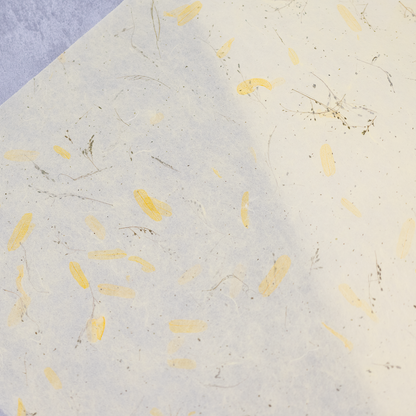 ドライフラワー和紙